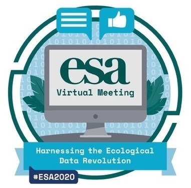 Navigating the Virtual ESA2020 Meeting | Boîte à outils numériques | Scoop.it