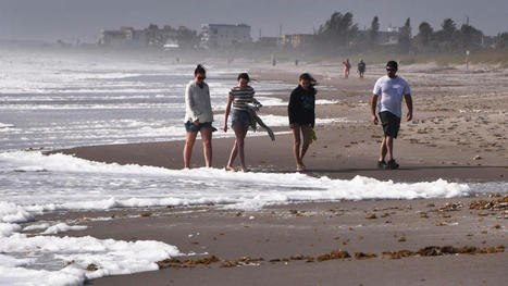 Brevard County suffers minor beach erosion from weekend winds. | Best Space Coast Florida Life Scoops | Scoop.it