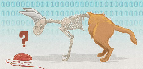 Informatique quantique : IBM rappelle qu&rsquo;il n&rsquo;y a pas que les qubits dans la vie | Veille | Scoop.it
