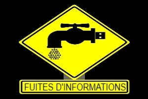 Fuites de données : toujours fréquentes et de plus en plus chères | Sud-Ouest intelligence économique | Scoop.it