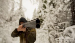 Susijahdin s&auml;&auml;nn&ouml;t valmistuivat, koirasusille tulee noutaja | Demokraatti.fi | 1Uutiset - Lukemisen t&auml;hden | Scoop.it