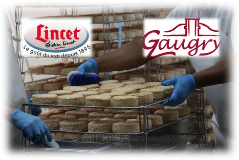 Lincet investit dans un nouvel atelier de fromages à pâte molle | Lait de Normandie... et d'ailleurs | Scoop.it