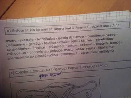 Des enfants de 13 ans doivent-ils apprendre en classe ce qu'est la sodomie ? | ACTUALITÉ | Scoop.it