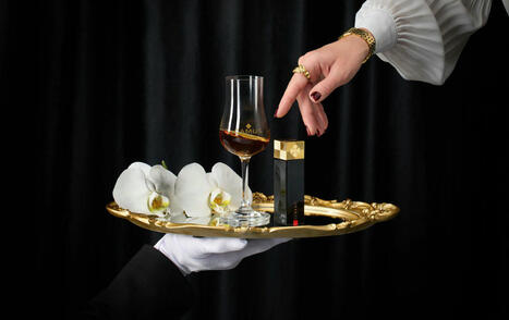 Camus makes Cognac personal with single serves | The Cognac and its vineyards | Scoop.it
