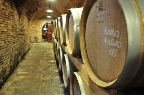 Wine Tour Le Marche: around Senigallia | Vacanza In Italia - Vakantie In Italie - Holiday In Italy | Scoop.it