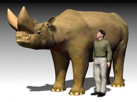 Romain Garrouste : "La nature en 3D : l’histoire naturelle passe au numérique" | Biodiversité | Scoop.it