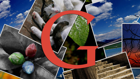 Google Confirms Adding New Image Search Filter Buttons To Mobile | iGeneration - 21st Century Education (Pedagogy & Digital Innovation) | Scoop.it