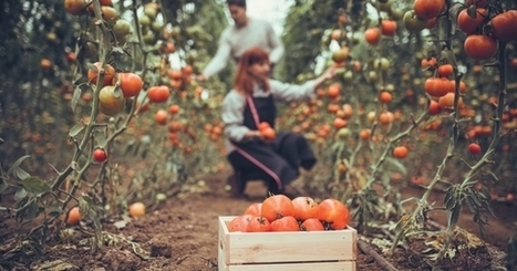 Les nouvelles agricultures récoltent des emplois | Vers la transition des territoires ! | Scoop.it