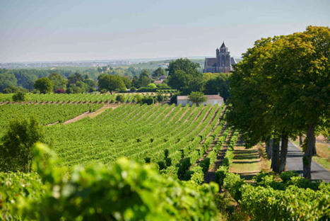Les Charentes et le cognac au cœur d’un nouveau Contrat de destination | Thématique Gastronomie et Oeno | Scoop.it