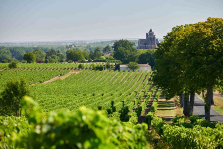 Les Charentes et le cognac au cœur d’un nouveau Contrat de destination | Thématique Gastronomie et Oeno | Scoop.it