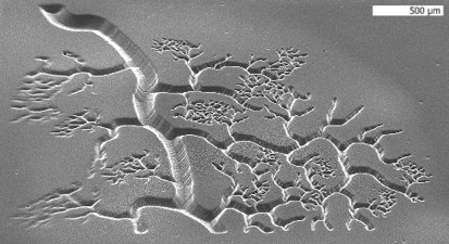How to print microvessels and other 3D microstructures in seconds | Amazing Science | Scoop.it