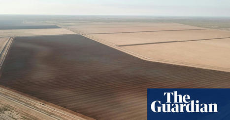 Plans for the plains: the fight over harvesting floodwater in NSW is about to get real | Murray-Darling Basin | The Guardian | GTAV AC:G Y7 - Water in the world | Scoop.it