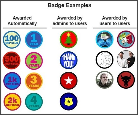 Badges, Badges, We DO Need Some Stinkin Badges To Gamify Community | Ninja Post | BI Revolution | Scoop.it