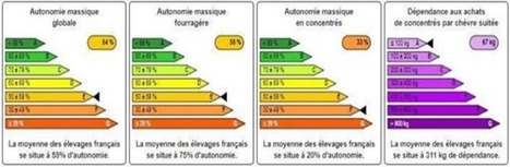 Ruminants : Evaluer son autonomie alimentaire « en 3 clics » - La France agricole | Lait de Normandie... et d'ailleurs | Scoop.it