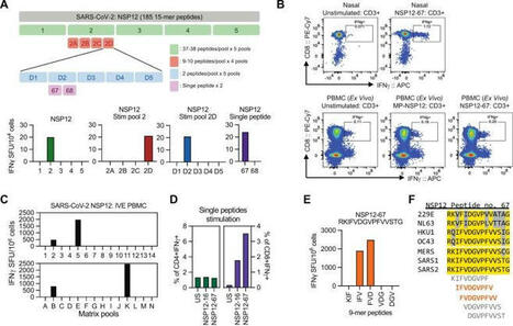 Important issue! | Stéphane Paul | Immunology and Biotherapies | Scoop.it
