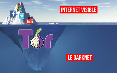 Le Darknet | La face cachée d'Internet | Time to Learn | Scoop.it