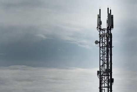 Les ondes 2G et 3G ont causé des cancers chez des rats, selon des chercheurs | Toxique, soyons vigilant ! | Scoop.it