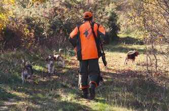 Chasse : un supplément pour marquer l’ouverture de la saison | Nouvelle-Aquitaine | Scoop.it