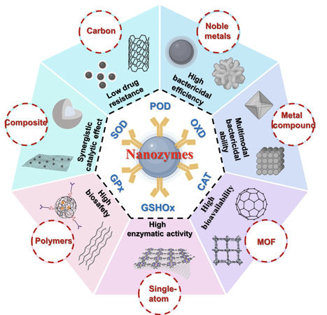 Antimicrobial Nanozymes: Structure&ndash;Activity-Guided Design, Synergy, and Applications | bdr | RMH | Scoop.it