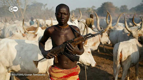 NIGERIA: How to tackle deadly farmer-herder conflicts?  | AFRIQUES | Scoop.it
