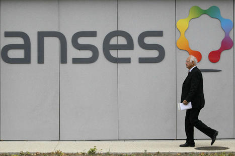 La crédibilité de l’Anses questionnée par son propre conseil scientifique | EntomoScience | Scoop.it