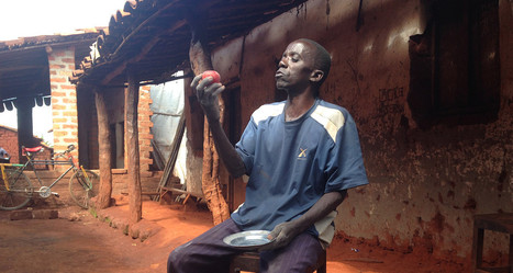 Burundi : Des agriculteurs découvrent une nouvelle technique de conservation des tomates | Actualités Afrique | Scoop.it