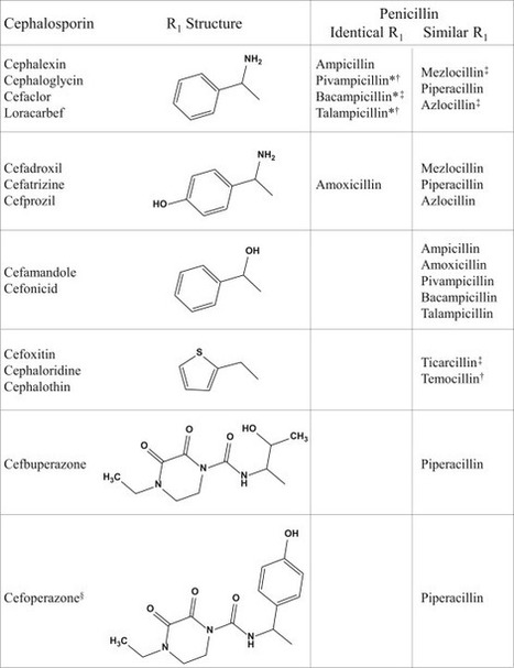 Cross-reactivity in &beta;-Lactam Allergy | Allergy (and clinical immunology) | Scoop.it