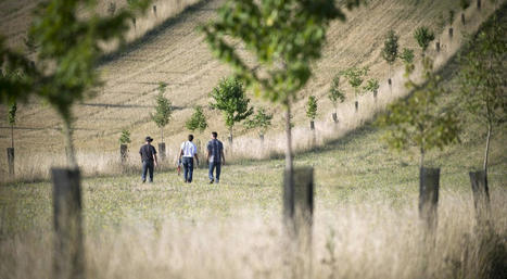 &laquo; Collectifs agro&eacute;cologie &raquo;, le nouveau site qui favorise les &eacute;changes entre groupes agro&eacute;cologiques | Minist&egrave;re de l'Agriculture et de l'Alimentation | TRANSITION AGROECOLOGIQUE : PRATIQUES ET POLITIQUES AGRICOLES | Scoop.it