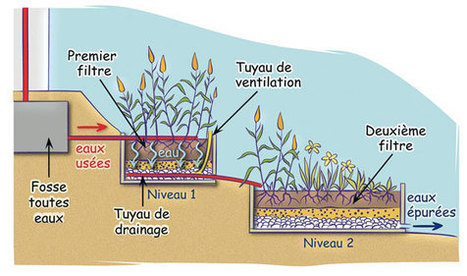 Traitement des eaux usées domestiques par phytoépuration | Build Green, pour un habitat écologique | Scoop.it