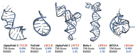 Limits of deep-learning-based RNA prediction methods | Brvbi | RMH | Scoop.it