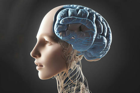 Google est stupéfait : son IA a appris une nouvelle langue sans aide | Artificial intelligence | Scoop.it