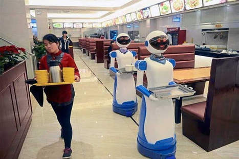 Philosophical Disquisitions: Why haven't robots taken our jobs? The Complementarity Effect | Web 3.0 | Scoop.it