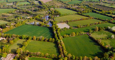 Un projet de décret prévoit de faciliter la destruction des haies | Revue de presse économique du Sud Touraine | Scoop.it