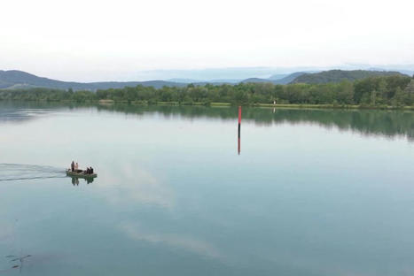 Savoie : Huile, poisson… La richesse de sa biodiversité fait la fierté du Lac du Bourget. | JamesO | Scoop.it