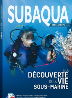 À la découverte de la vie sous-marine | Biodiversité | Scoop.it