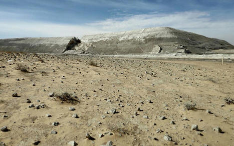 Ecosystem still reeling from toxic spill 3 years after Ashalim stream disaster | The Times of Israel / le 05.01.2021 | Pollution accidentelle des eaux par produits chimiques | Scoop.it