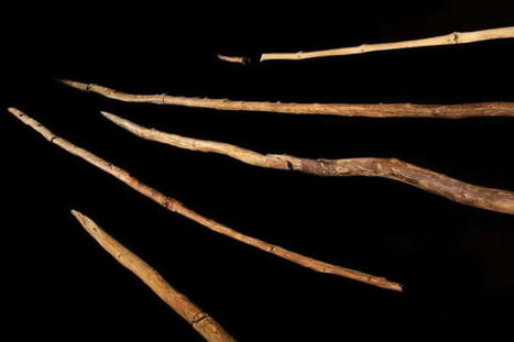 Los primeros humanos utilizaban madera cortada hace 300.000 años para cazar animales y limpiar pieles, según un estudio  | Mi Cajón de Ideas | Scoop.it