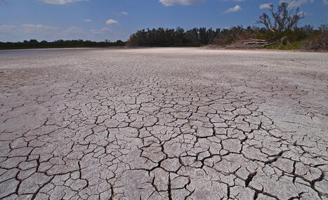 Florida officials issue grim warning as state breaks 21st-century weather precedent - The Cool Down | Operation Deimos | Scoop.it