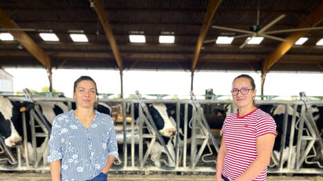 &laquo;&nbsp;C&rsquo;est au-del&agrave; de tout ce qu&rsquo;on a pu vivre&nbsp;&raquo;&nbsp;: en Maine-et-Loire, la s&eacute;cheresse mine le moral des agriculteurs - Ouest France [Abonn&eacute;s] | Agriculture en Pays de la Loire | Scoop.it