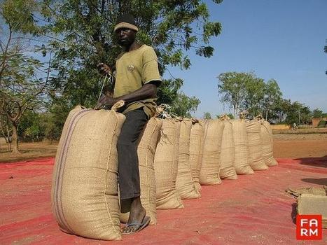 Afrique : Doubler le revenu des petits agriculteurs, un objectif réaliste ? | Questions de développement ... | Scoop.it