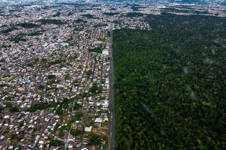 Ecological Collapse Could Happen Much Sooner Than Expected, Study Finds - EcoWatch.com | Operation Deimos | Scoop.it