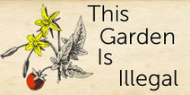 The 7 Homemade Weed Killers | Gardening Life | Scoop.it