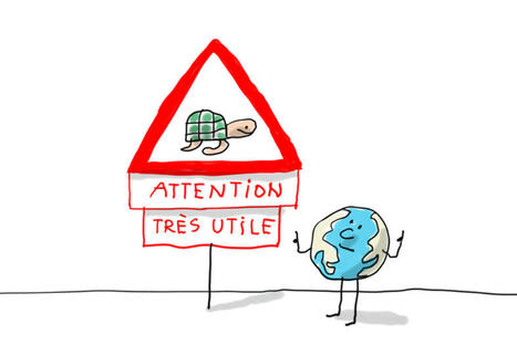 Pourquoi faut-il protéger les tortues ? | FLE enfants | Scoop.it