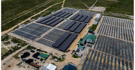 Sea Harvest Group’s commitment to sustainable business practices | Sustainable Procurement News | Scoop.it