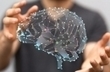 Education nationale : mise en place d’un Conseil scientifique présidé par Stanislas Dehaene | Life Sciences Université Paris-Saclay | Scoop.it