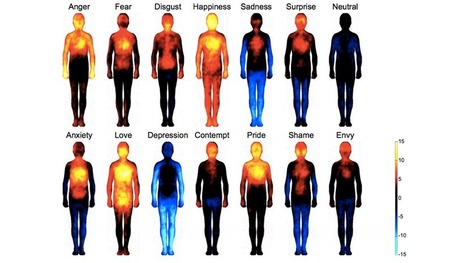 Where Emotions Hit You, Visualized | quest inspiration | Scoop.it