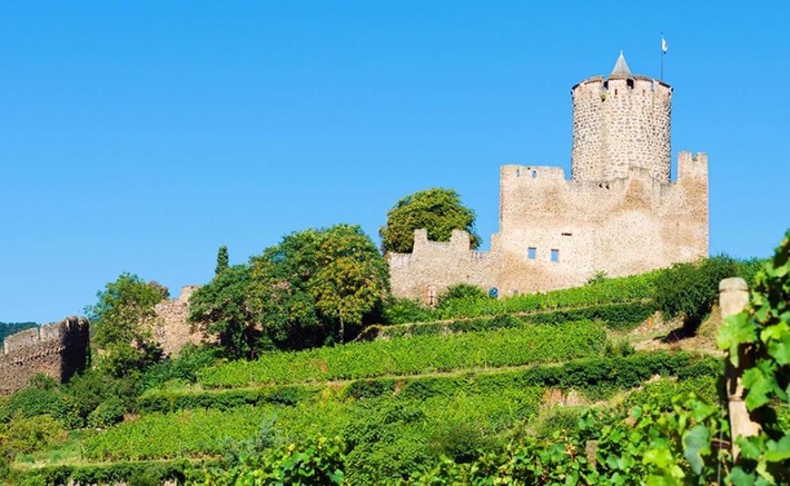 6 châteaux d’Alsace à découvrir absolument sur la route des vins | Thématique Châteaux forts | Scoop.it