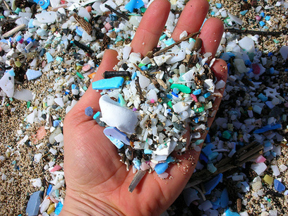 Microbeads are a sign of our plastic consumer madness | consumer psychology | Scoop.it