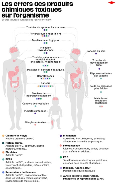 La Commission européenne prévoit d’interdire d'ici 2030 des milliers de produits chimiques toxiques connus pour empoisonner nos corps et l’environnement | Variétés entomologiques | Scoop.it