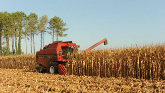 Agriculture - Le modèle coopératif en fusion | Landes - Conseils municipaux & communautaires | Scoop.it